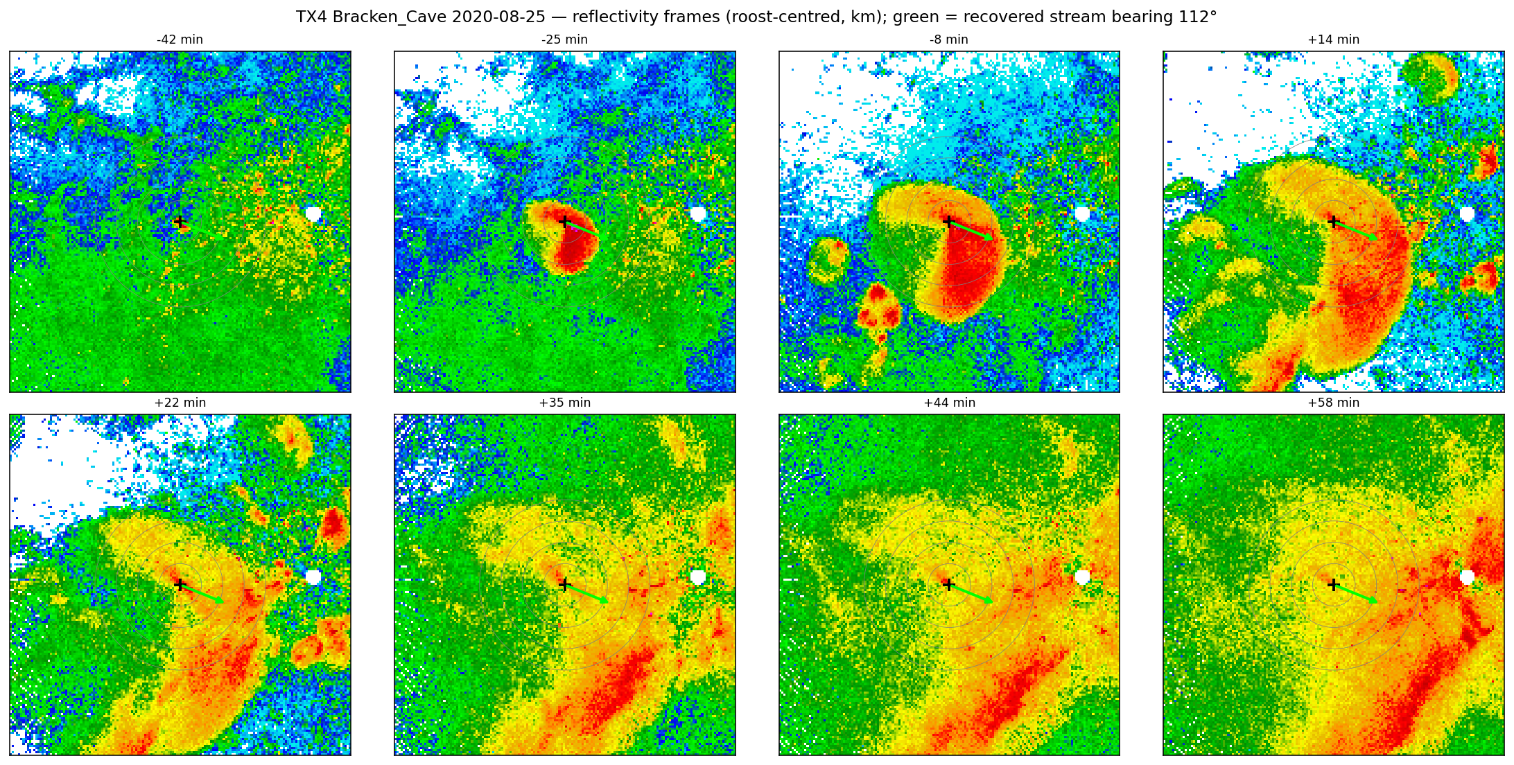 Weather-surveillance radar reflectivity frames of a Bracken Cave bat emergence