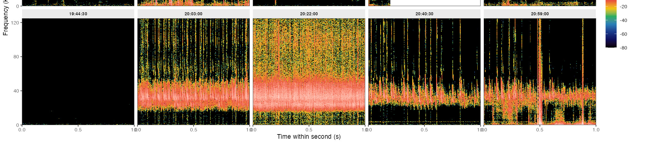 Spectrograms of a bat emergence recorded over the course of an evening